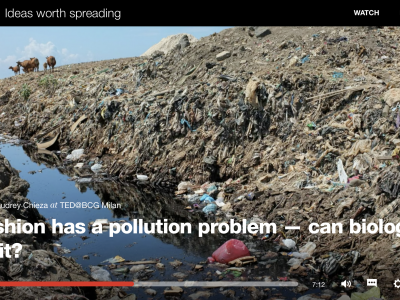 Natsai Audrey Chieza - Fashion has a pollution problem - can biology fix it?