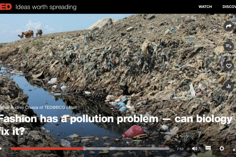 Natsai Audrey Chieza - Fashion has a pollution problem - can biology fix it?