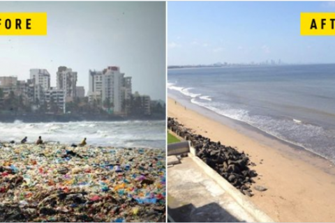 Clean-up Bombay